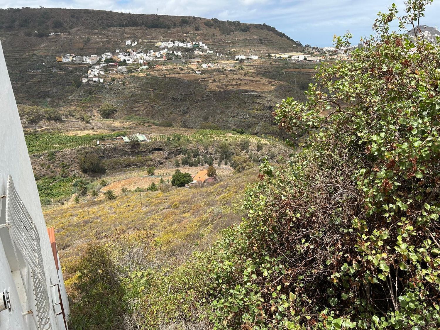 Fincas y solares-Venta-Las Palmas de Gran Canaria-1791704-Foto-9