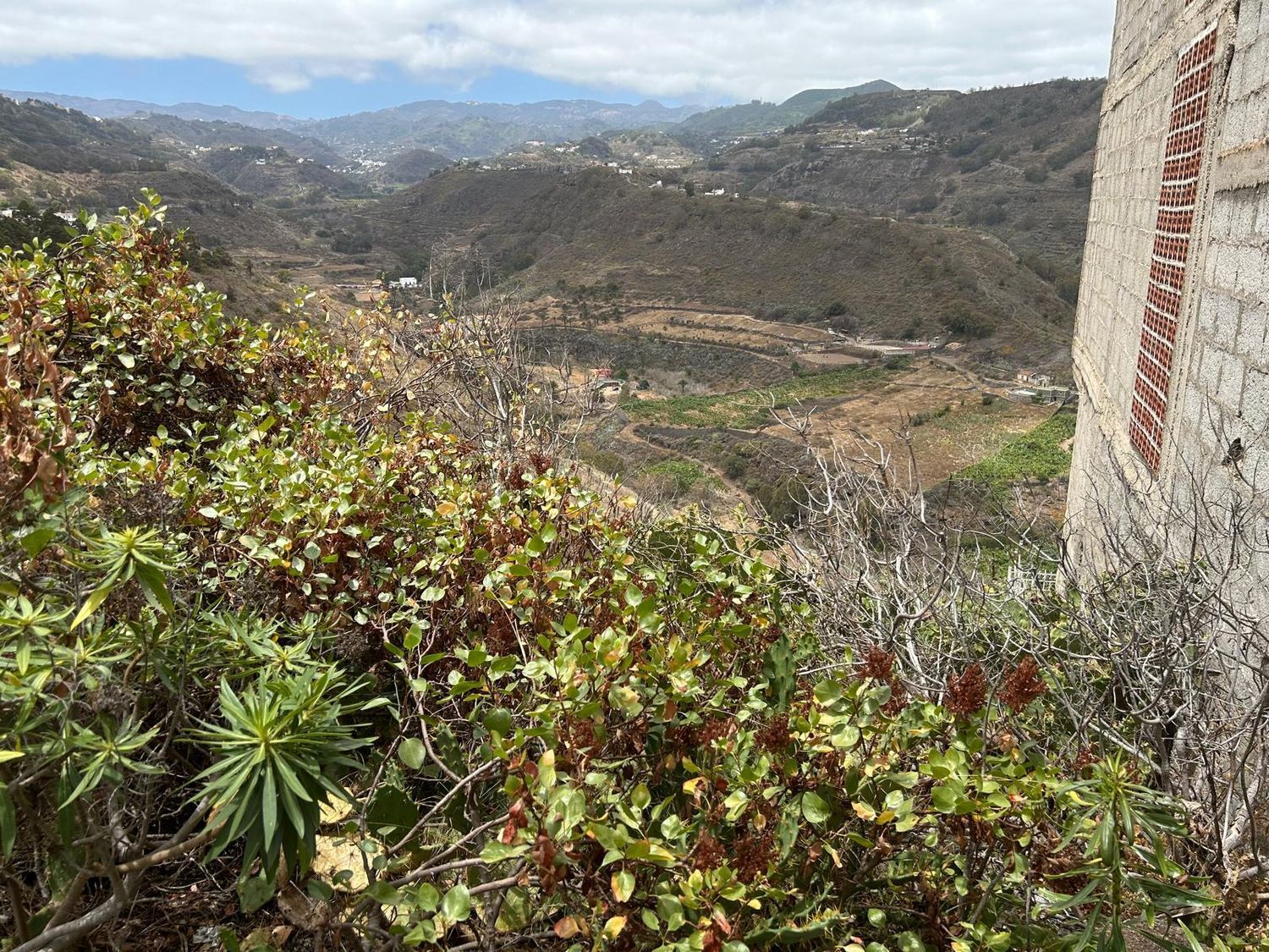 Fincas y solares-Venta-Las Palmas de Gran Canaria-1791704-Foto-11
