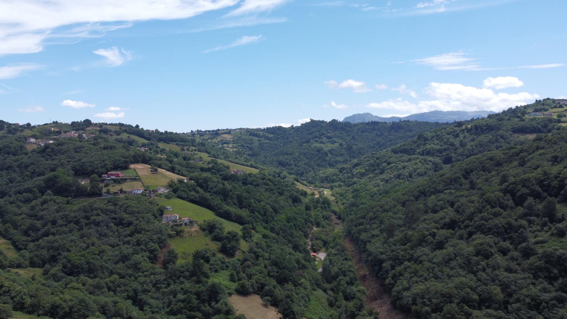 Casas o chalets-Venta-Siero-1792220-Foto-48