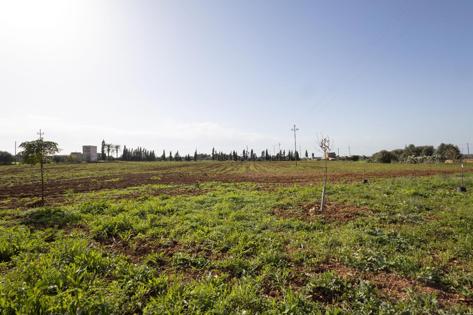Casas o chalets-Venta-Campos-1483397-Foto-25