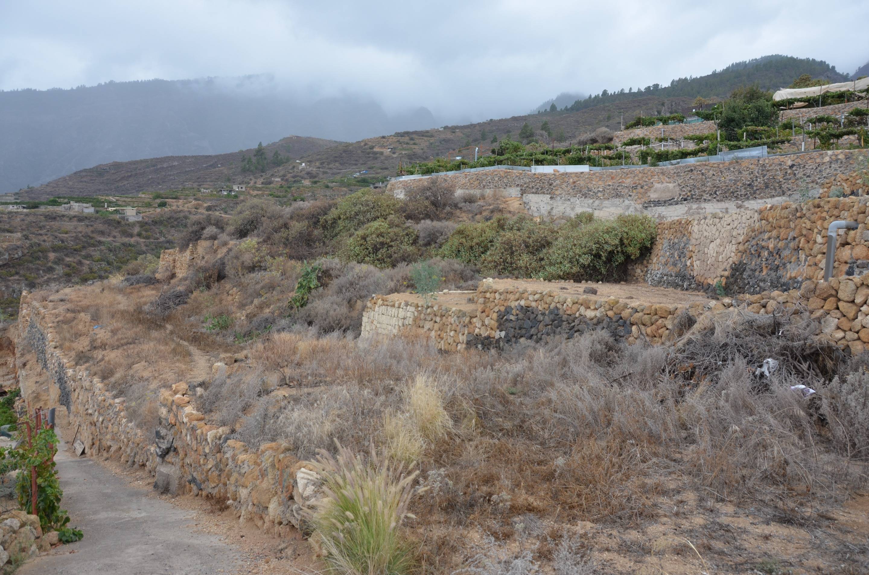 Fincas y solares-Venta-GÃ¼Ã­mar-1792226-Foto-2