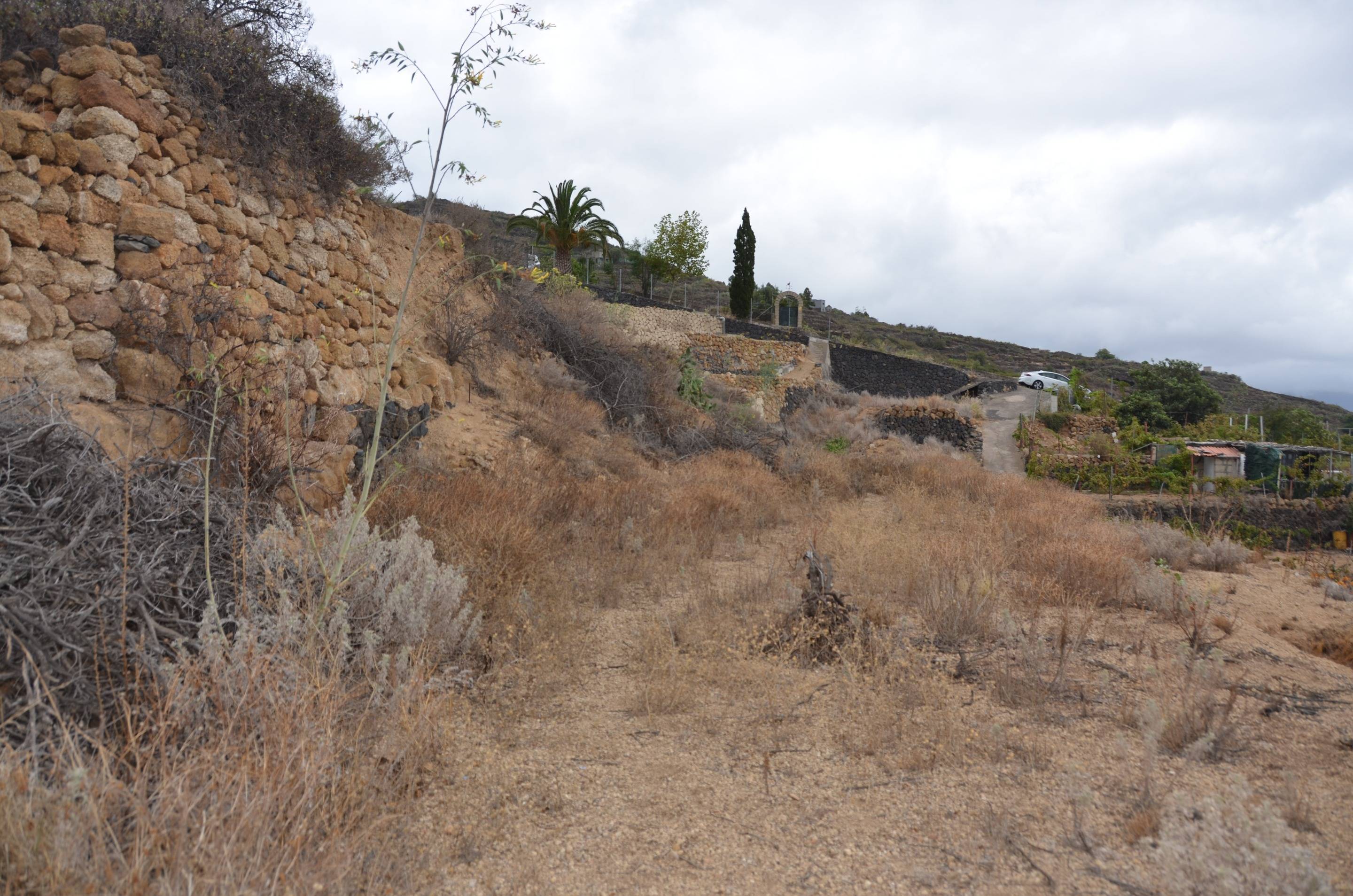 Fincas y solares-Venta-GÃ¼Ã­mar-1792226-Foto-4