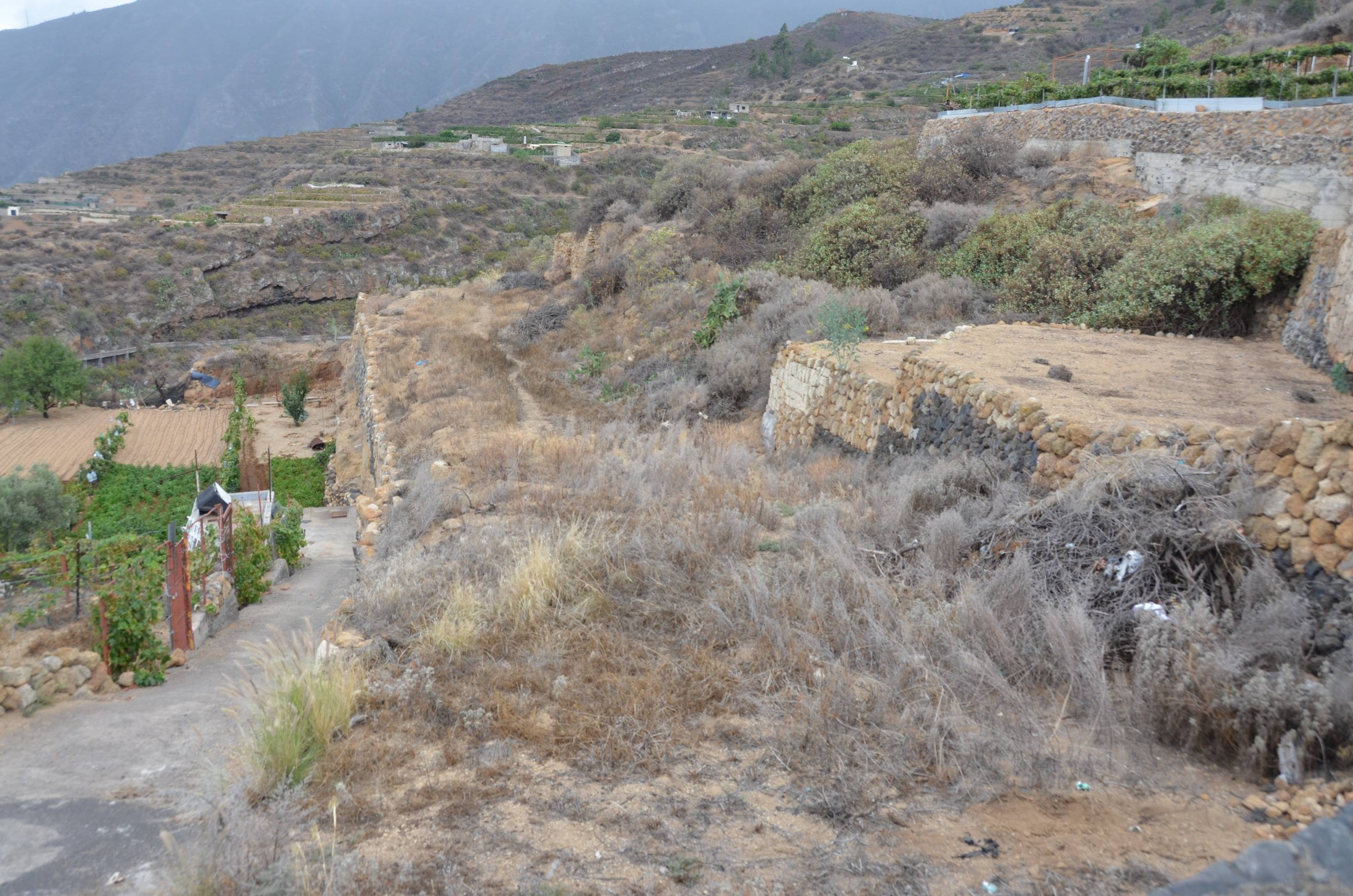 Fincas y solares-Venta-GÃ¼Ã­mar-1792226-Foto-13