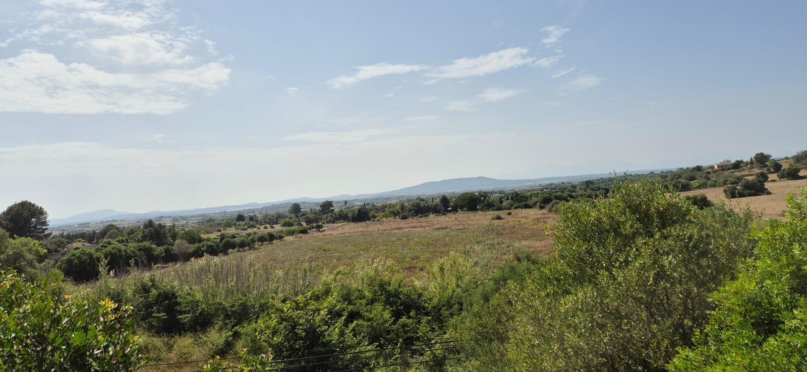 Fincas y solares-Venta-Manacor-1792783-Foto-5