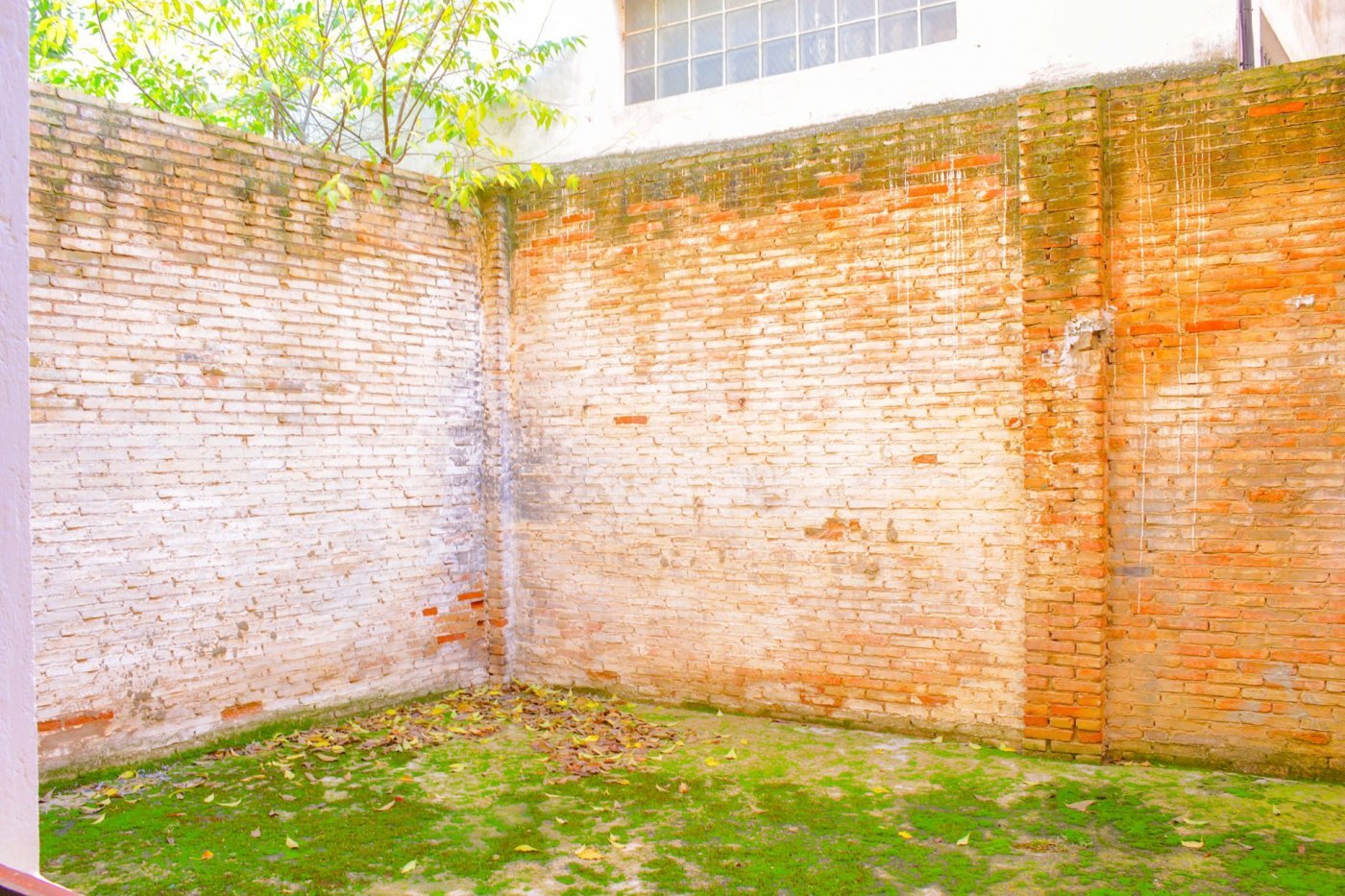 Negocios-Venta-Requena-506069-Foto-15