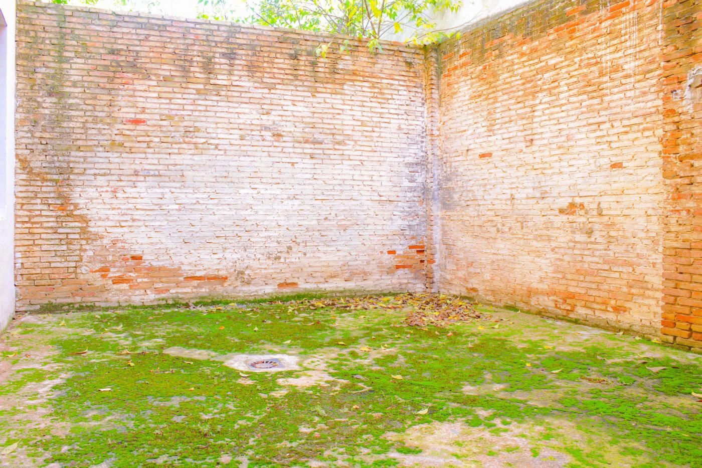 Negocios-Venta-Requena-506069-Foto-16