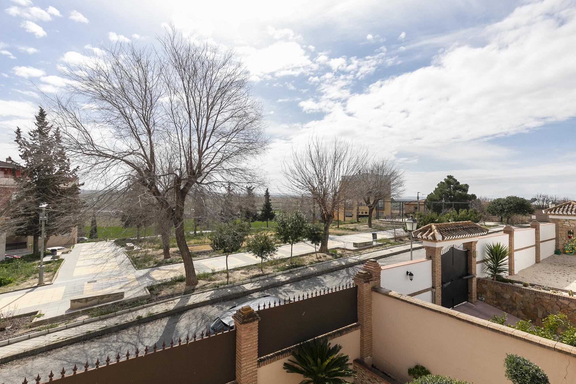 Casas o chalets-Venta-LÃ¡char-1792241-Foto-43