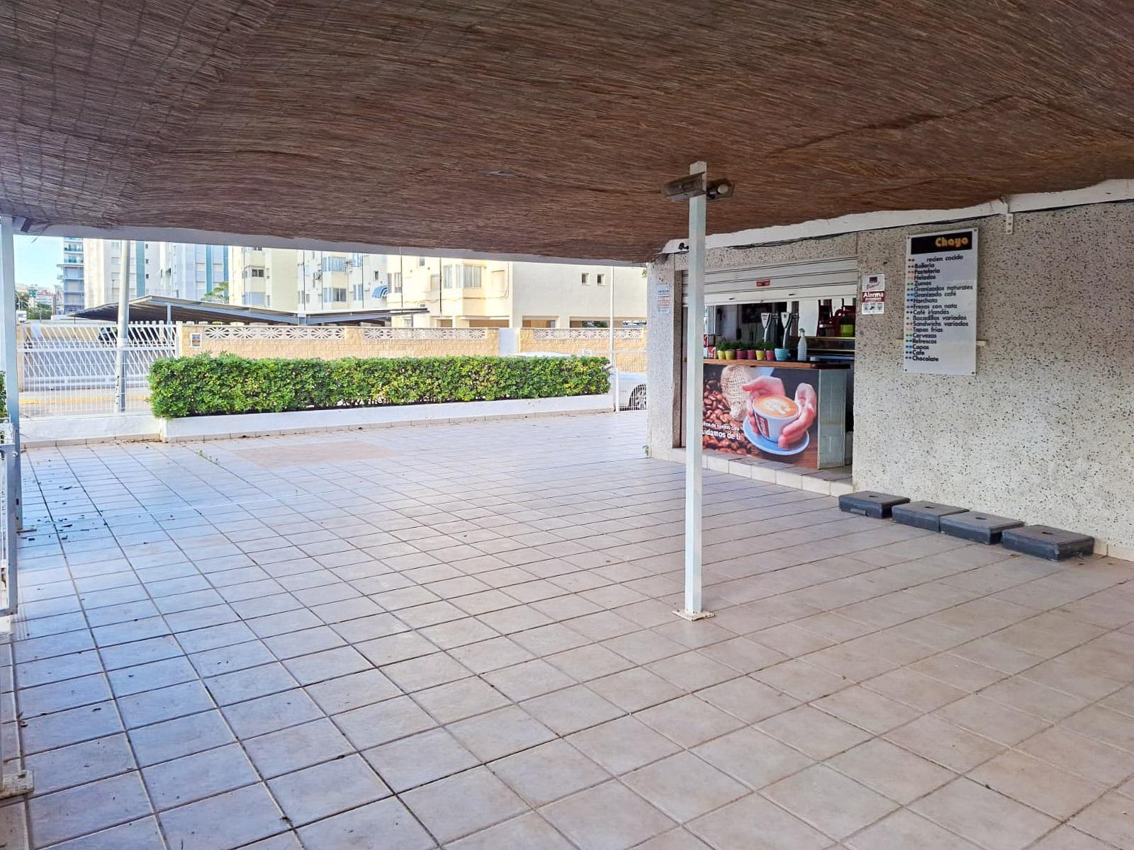 Negocios-Venta-Gandia-1480733-Foto-3