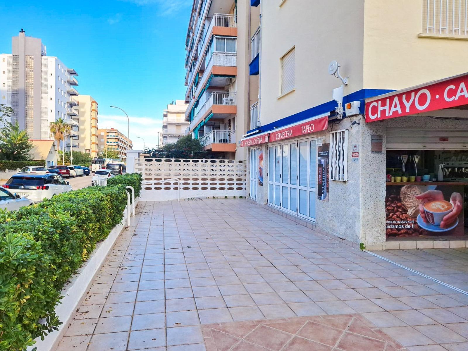 Negocios-Venta-Gandia-1480733-Foto-4