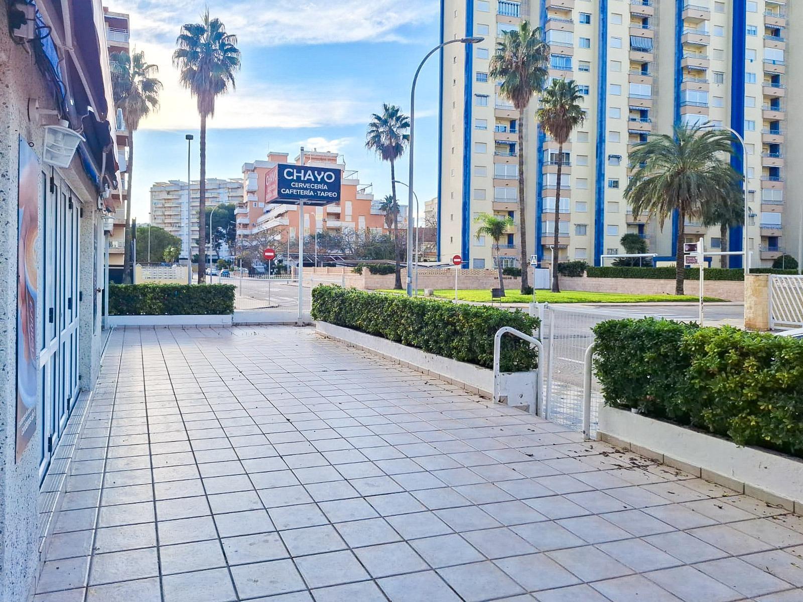 Negocios-Venta-Gandia-1480733-Foto-11
