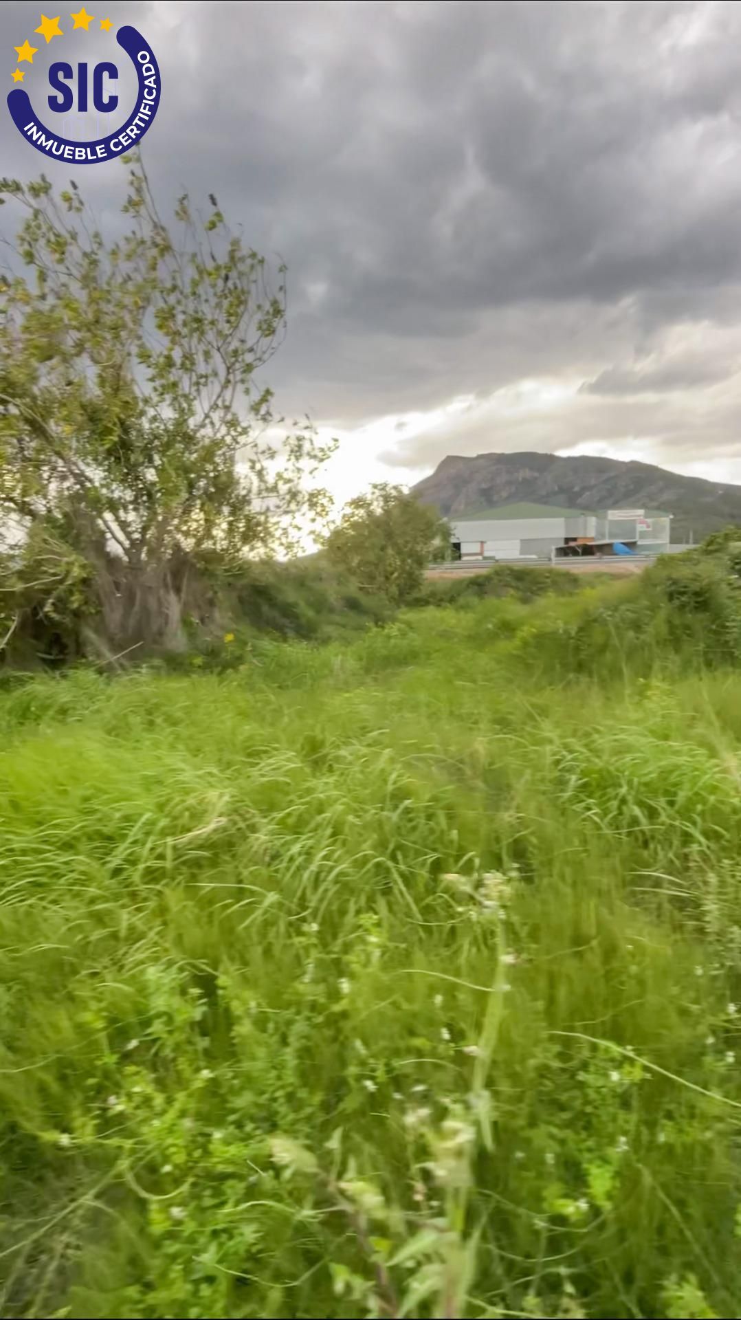 Fincas y solares-Venta-Tavernes de la Valldigna-1709463-Foto-3