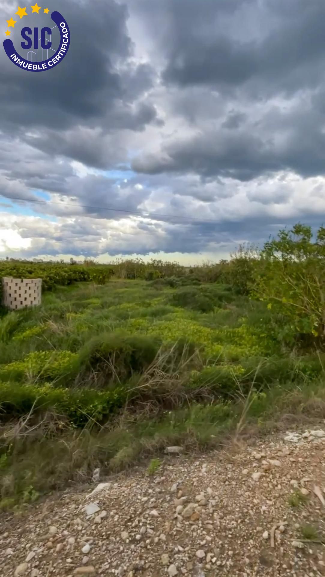 Fincas y solares-Venta-Tavernes de la Valldigna-1709463-Foto-5
