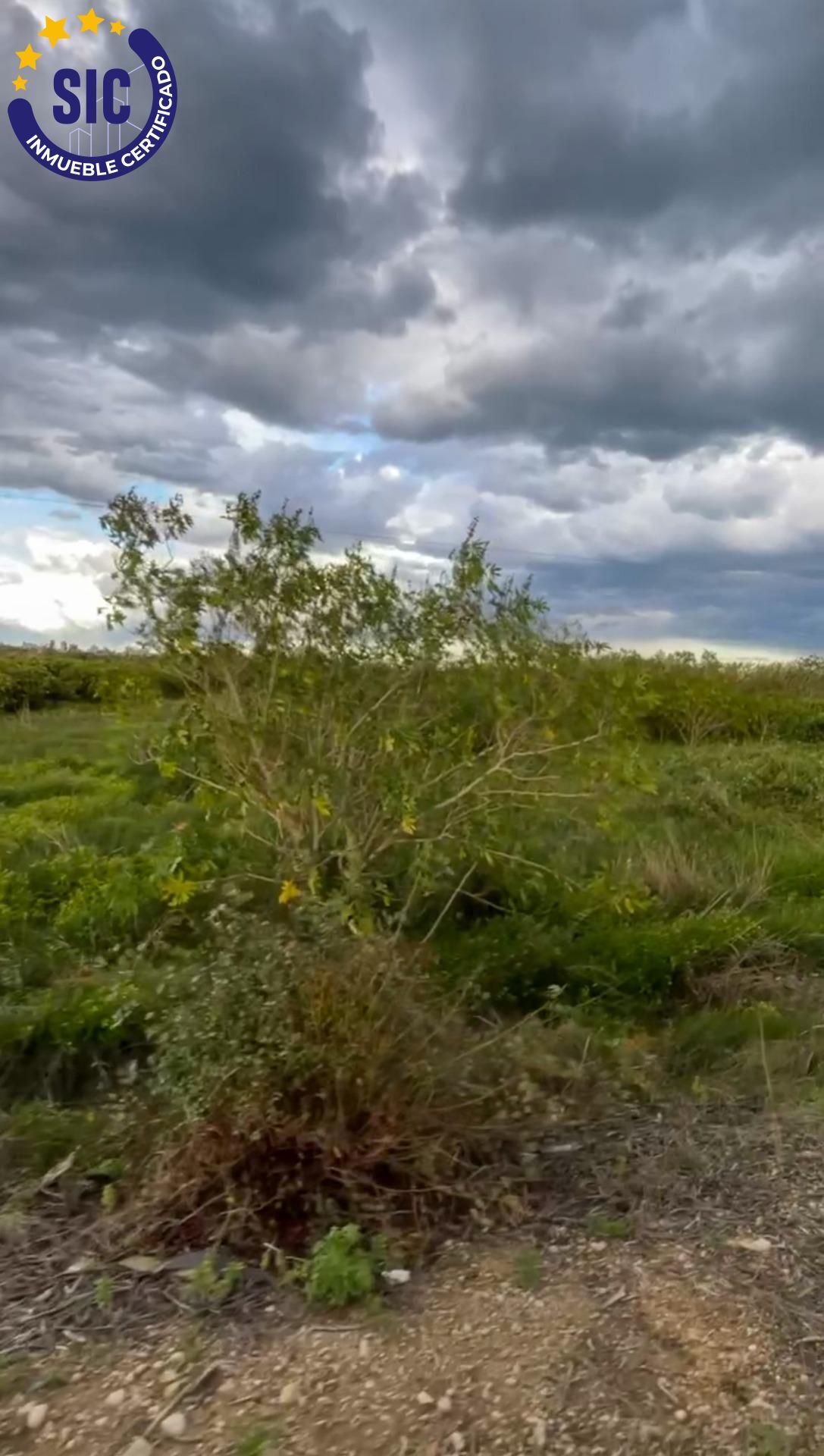 Fincas y solares-Venta-Tavernes de la Valldigna-1709463-Foto-9