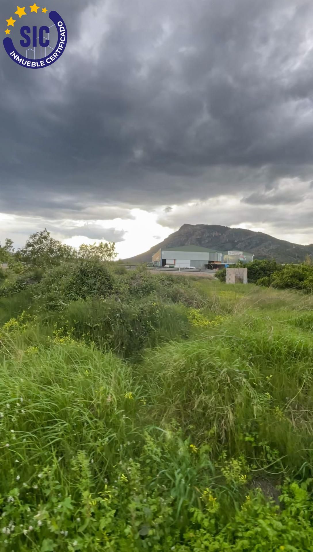 Fincas y solares-Venta-Tavernes de la Valldigna-1709463-Foto-8