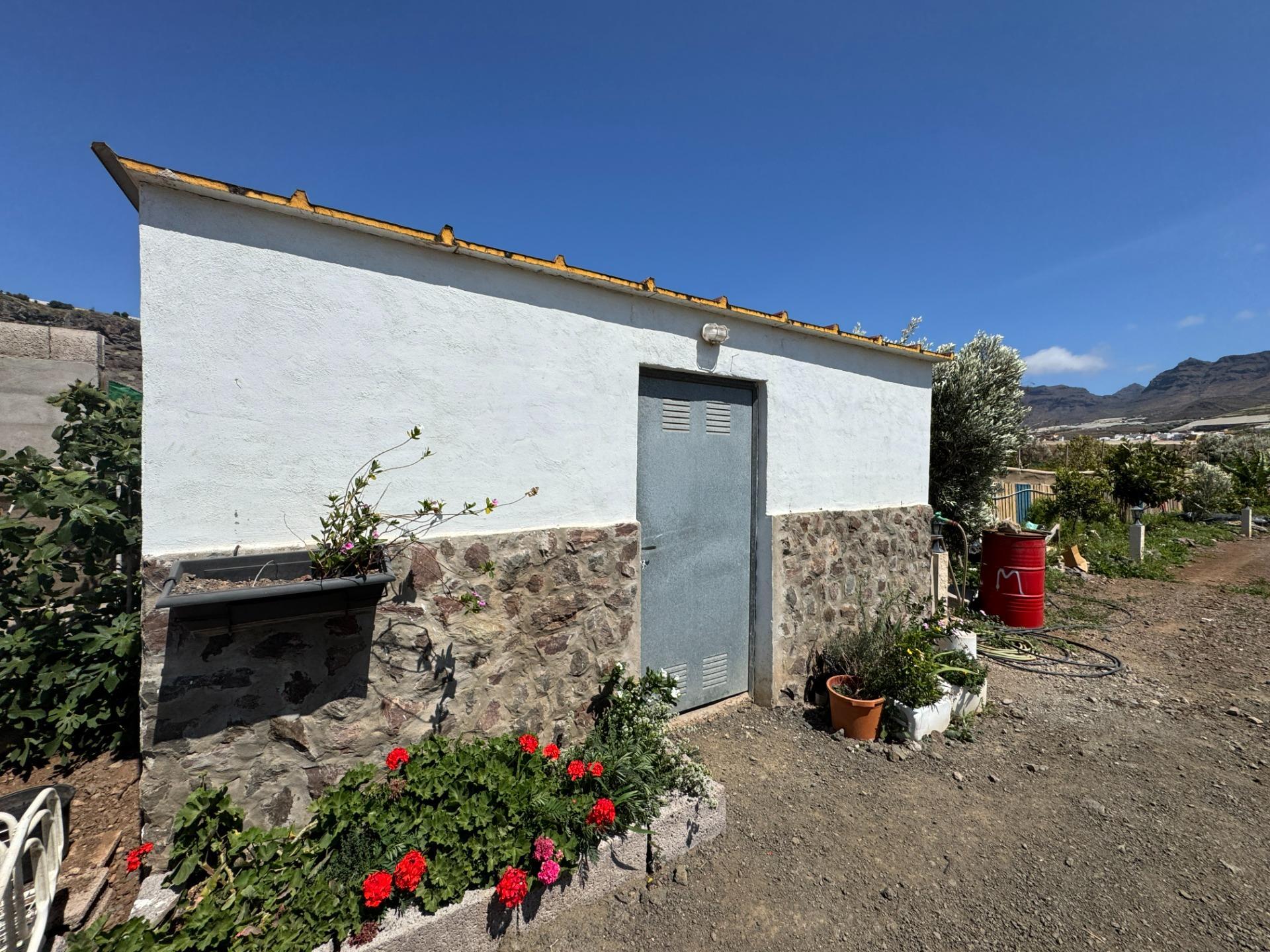 Fincas y solares-Venta-La Aldea de San NicolÃ¡s-1792292-Foto-12
