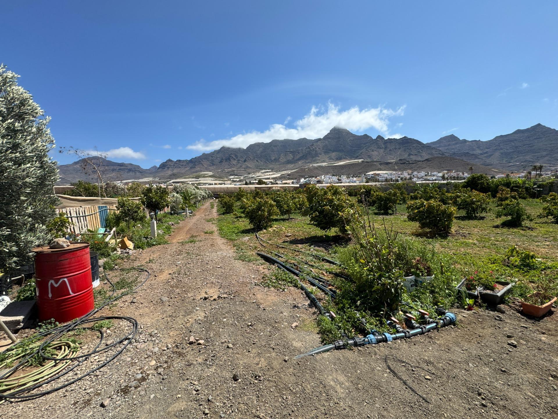 Fincas y solares-Venta-La Aldea de San NicolÃ¡s-1792292-Foto-11