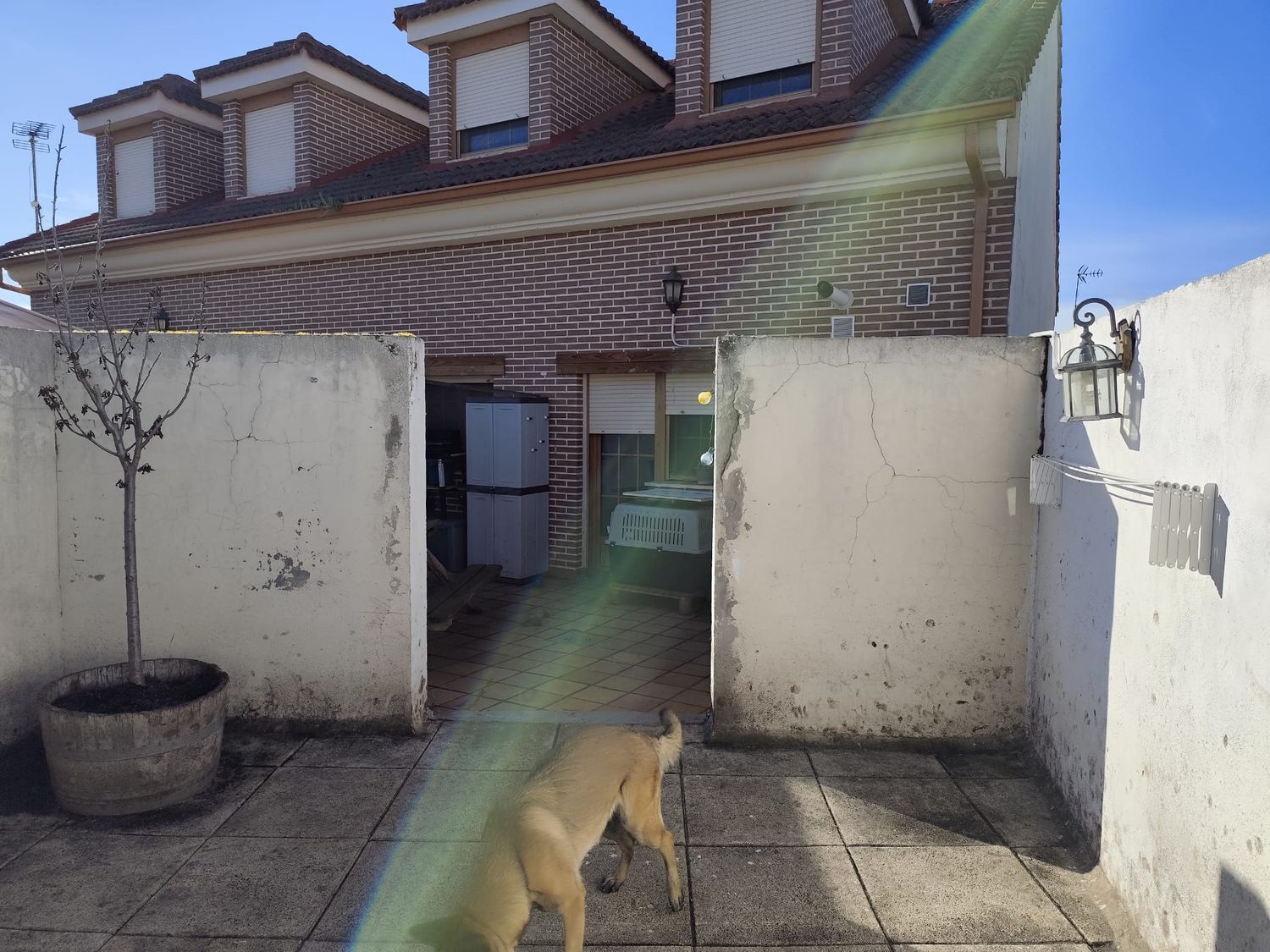 Pisos-Venta-Aldeamayor de San MartÃ­n-1702929-Foto-11