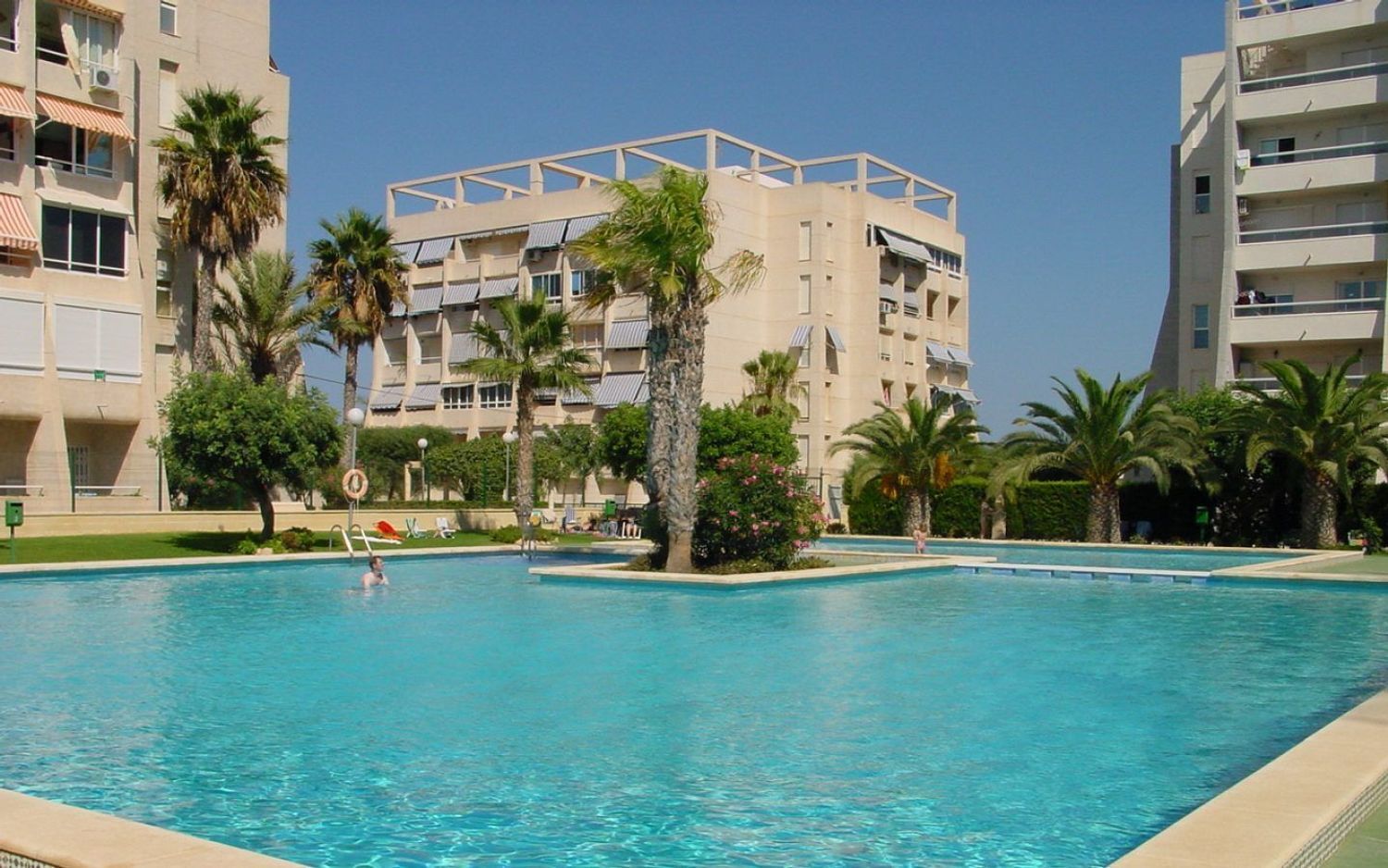 Pisos-Venta-Torrevieja-1792529-Foto-9
