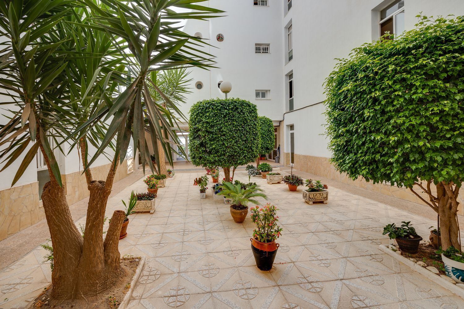 Pisos-Venta-Torrevieja-1792529-Foto-38
