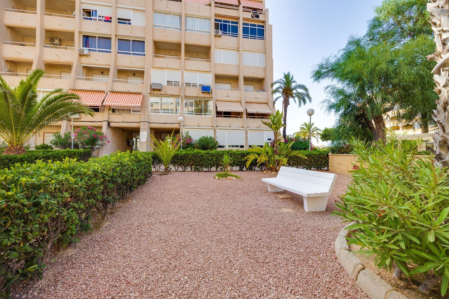 Pisos-Venta-Torrevieja-1792529-Foto-48