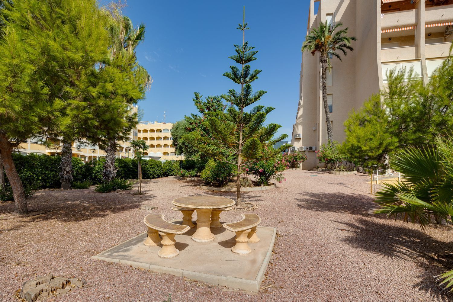 Pisos-Venta-Torrevieja-1792529-Foto-50