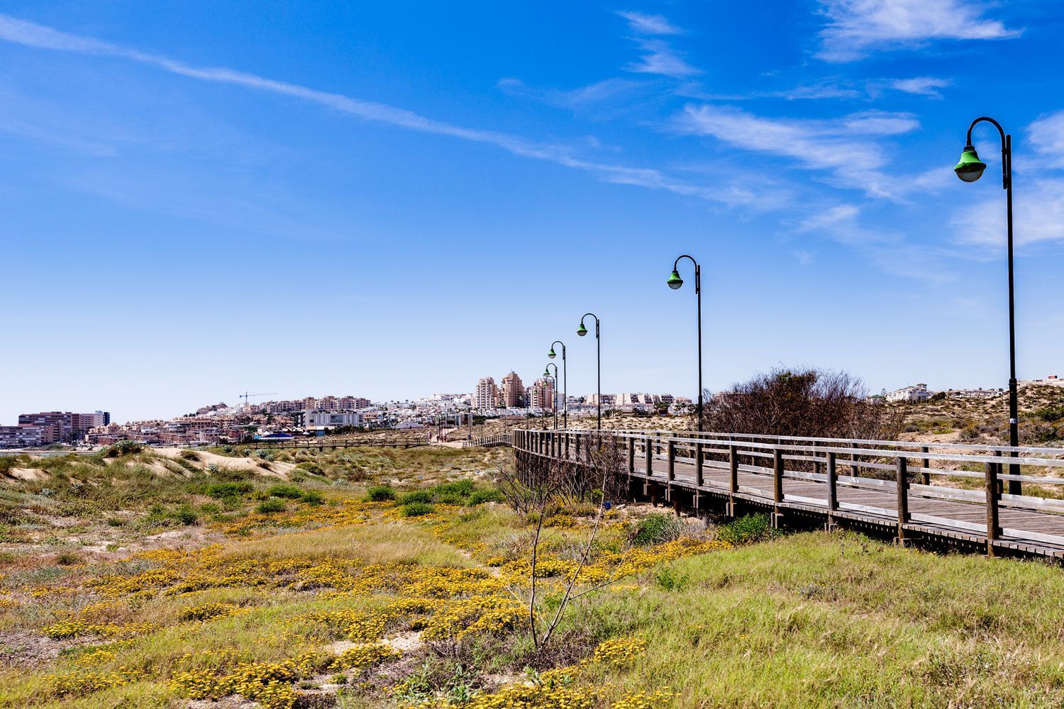 Pisos-Venta-Torrevieja-1792529-Foto-56