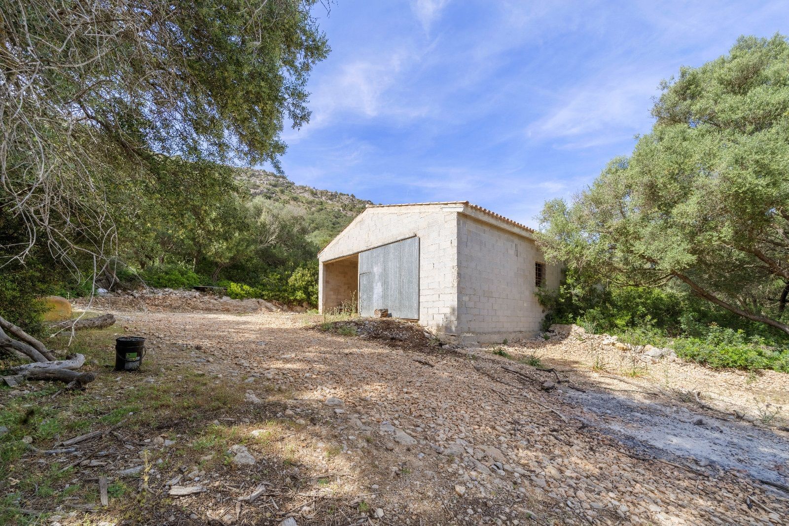 Fincas y solares-Venta-AlcÃºdia-952725-Foto-14