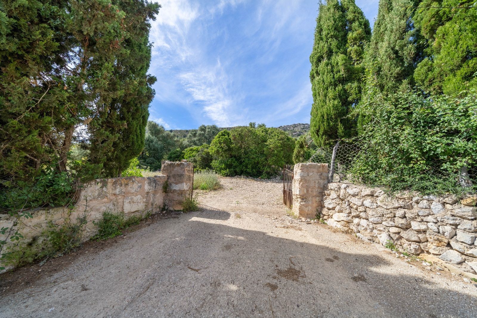 Fincas y solares-Venta-AlcÃºdia-952725-Foto-36