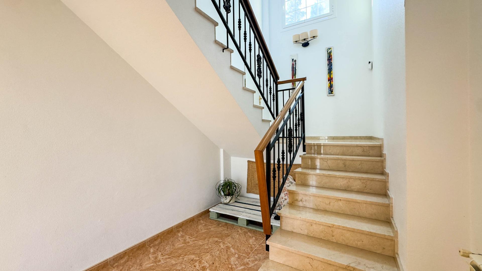 Casas o chalets-Venta-Elche-1791192-Foto-17
