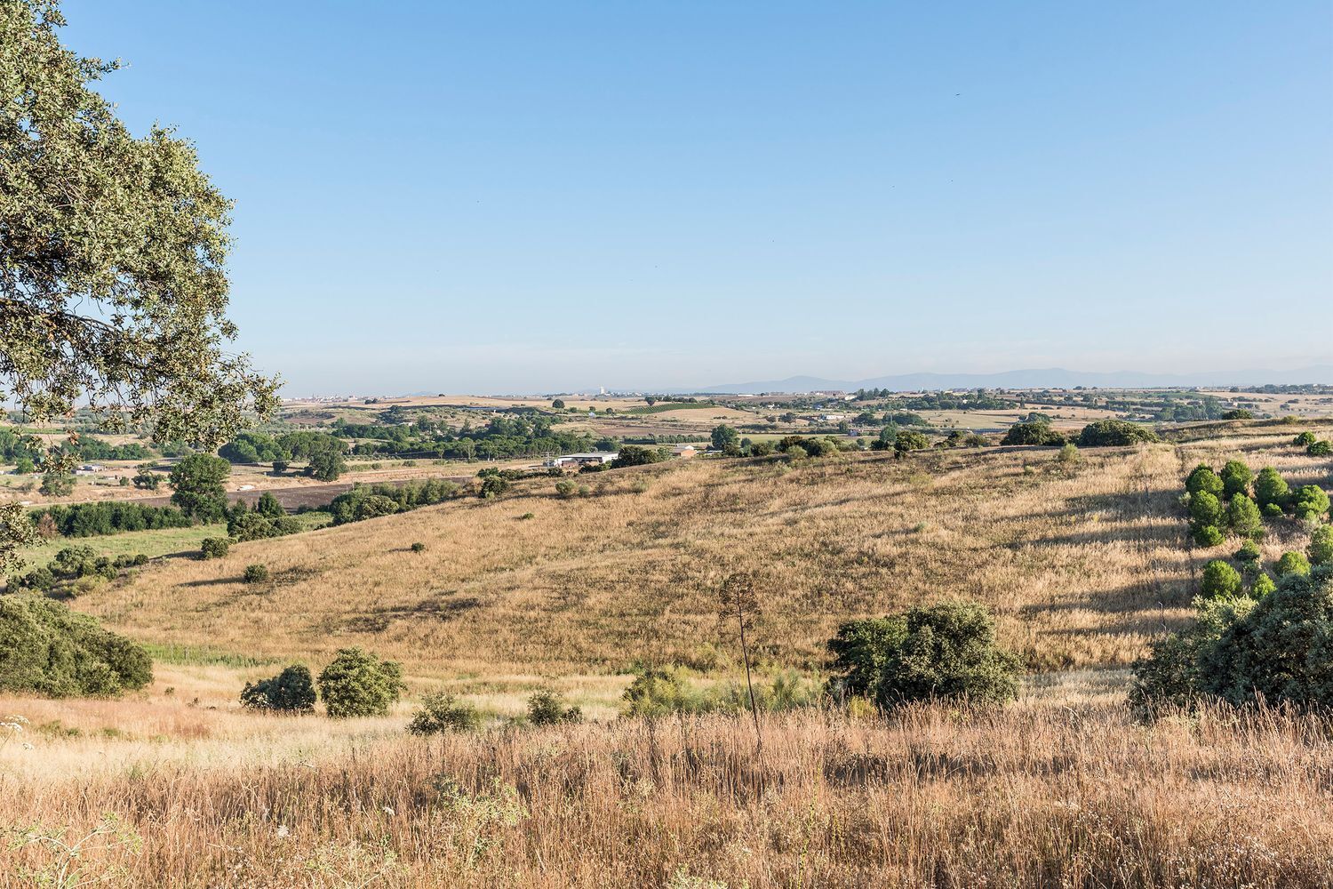 Fincas y solares-Venta-444507