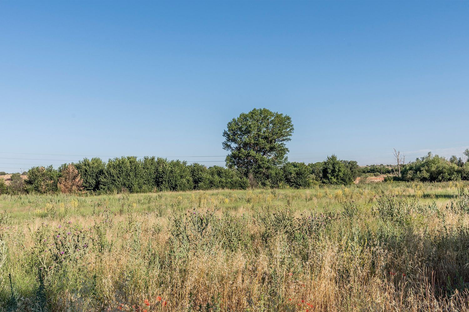 Fincas y solares-Venta-Navalcarnero-444507-Foto-33