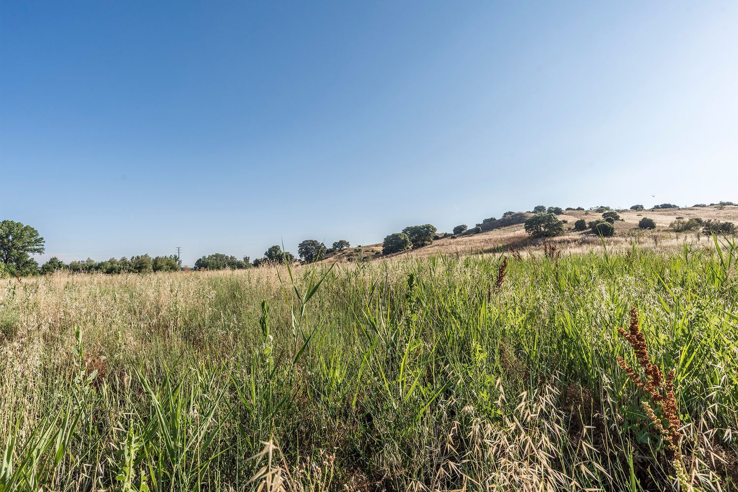 Fincas y solares-Venta-Navalcarnero-444507-Foto-42