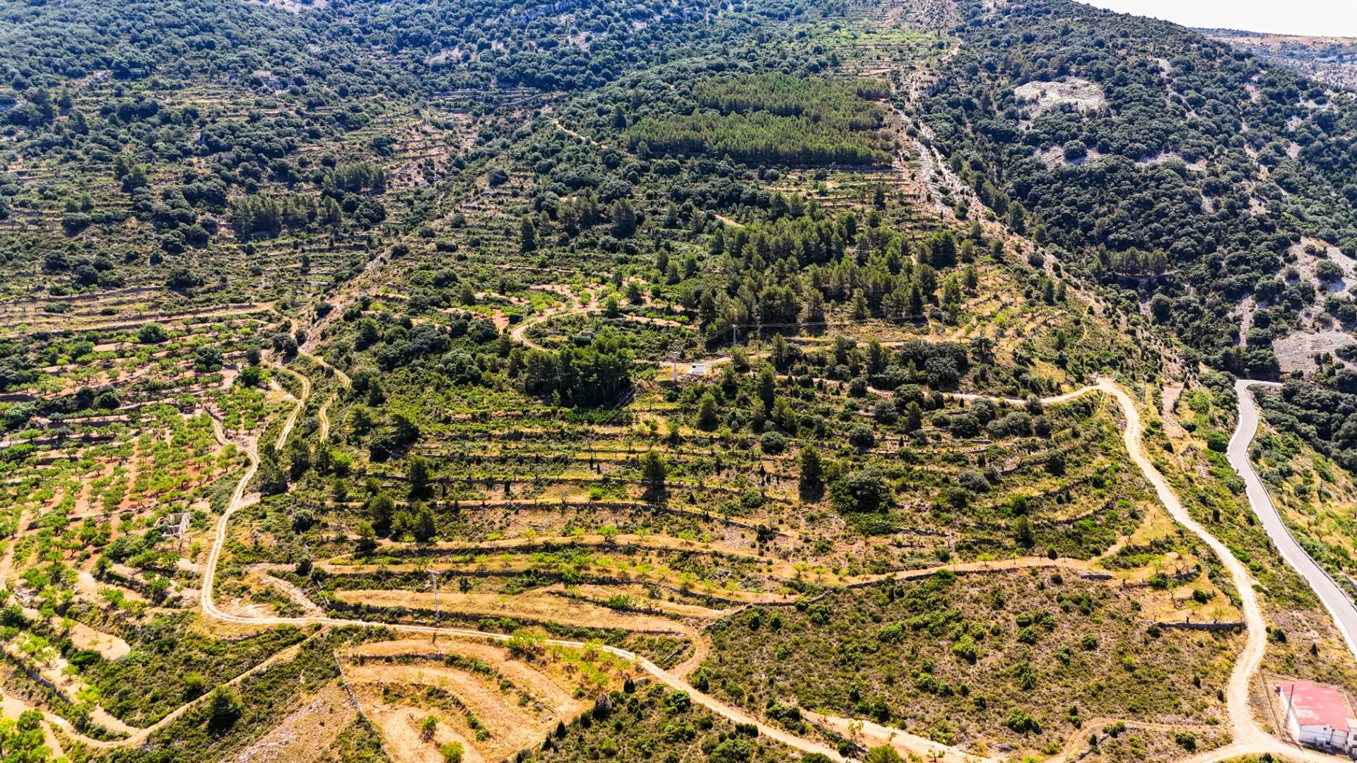 Fincas y solares-Venta-Sierra Engarcerán-1792786