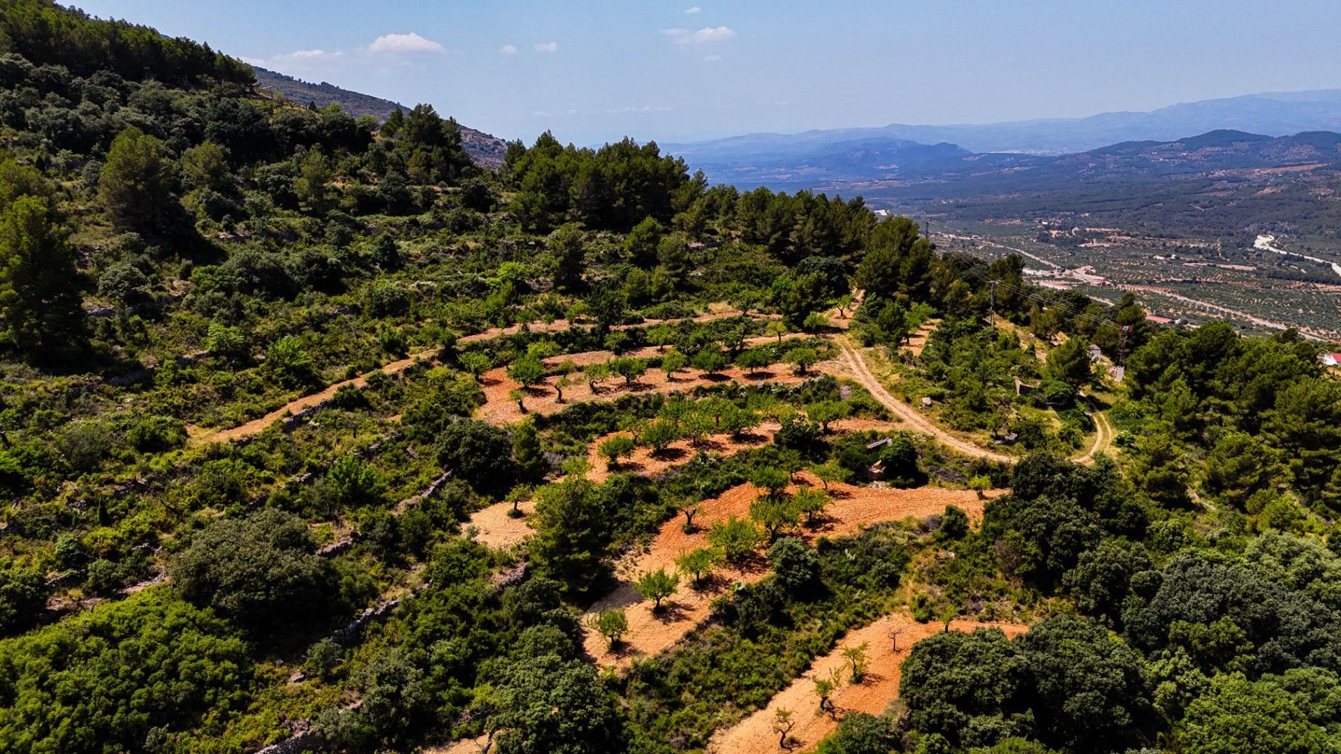 Fincas y solares-Venta-Sierra EngarcerÃ¡n-1792786-Foto-15