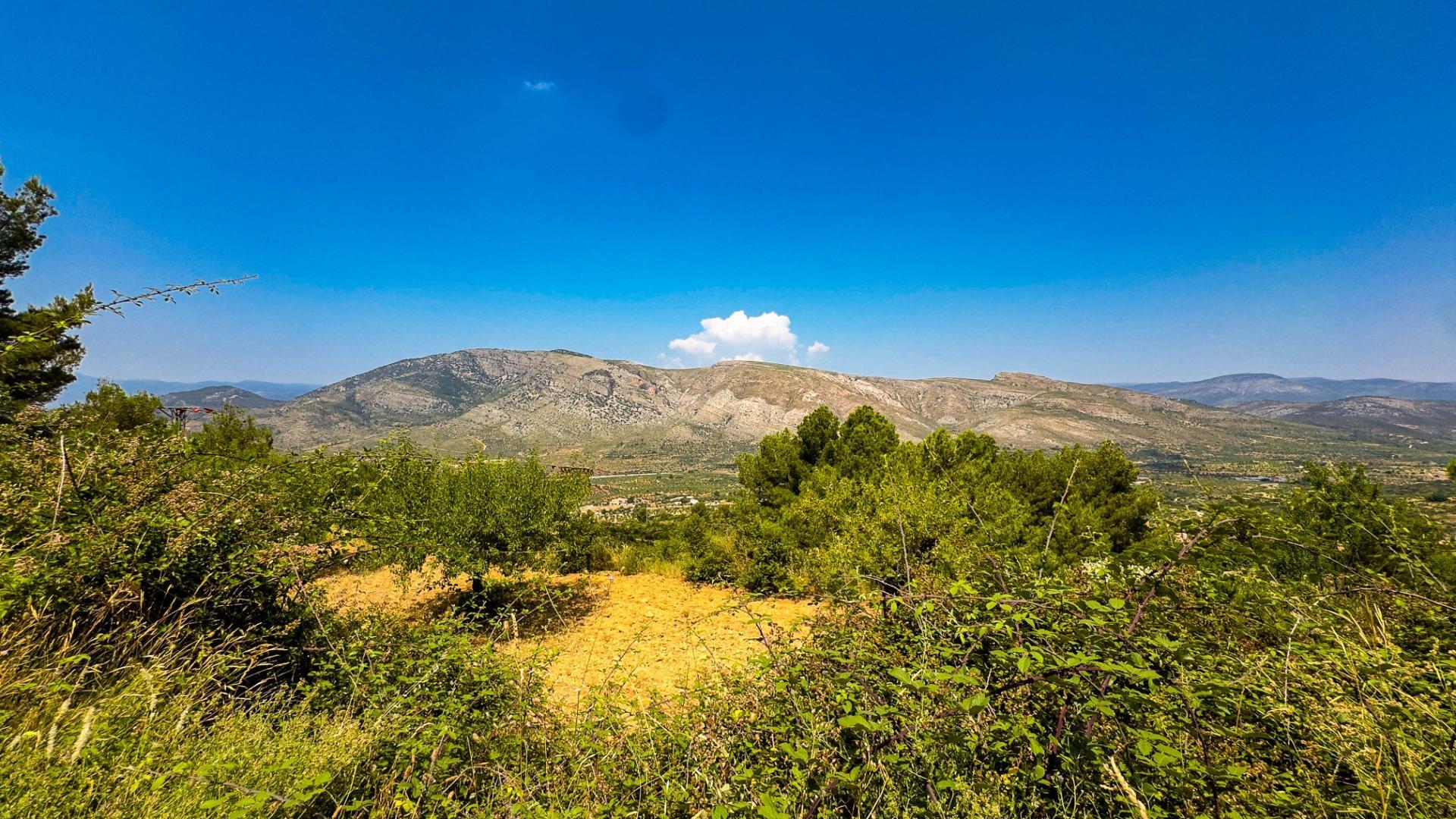 Fincas y solares-Venta-Sierra EngarcerÃ¡n-1792786-Foto-20