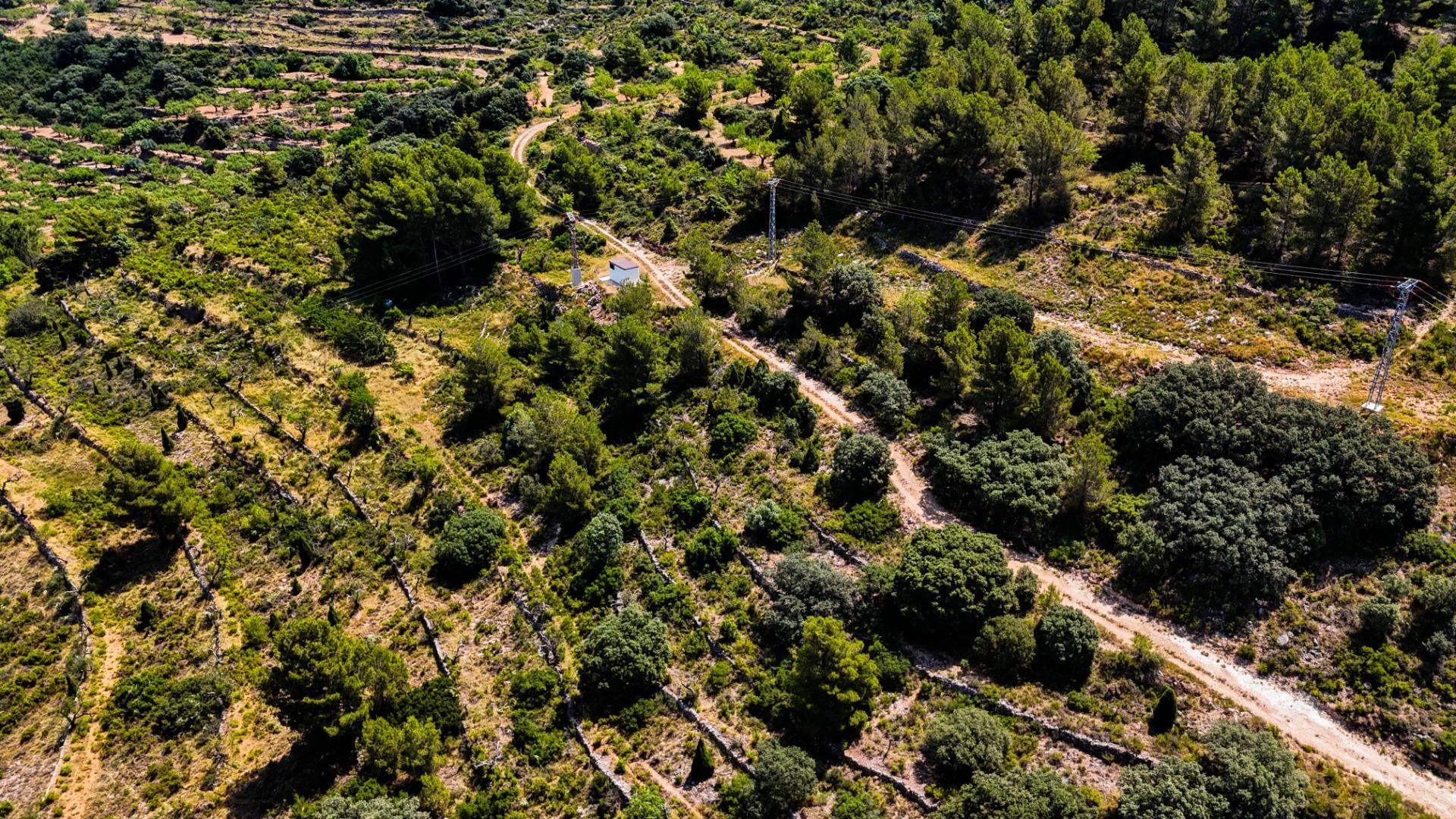 Fincas y solares-Venta-Sierra EngarcerÃ¡n-1792786-Foto-17