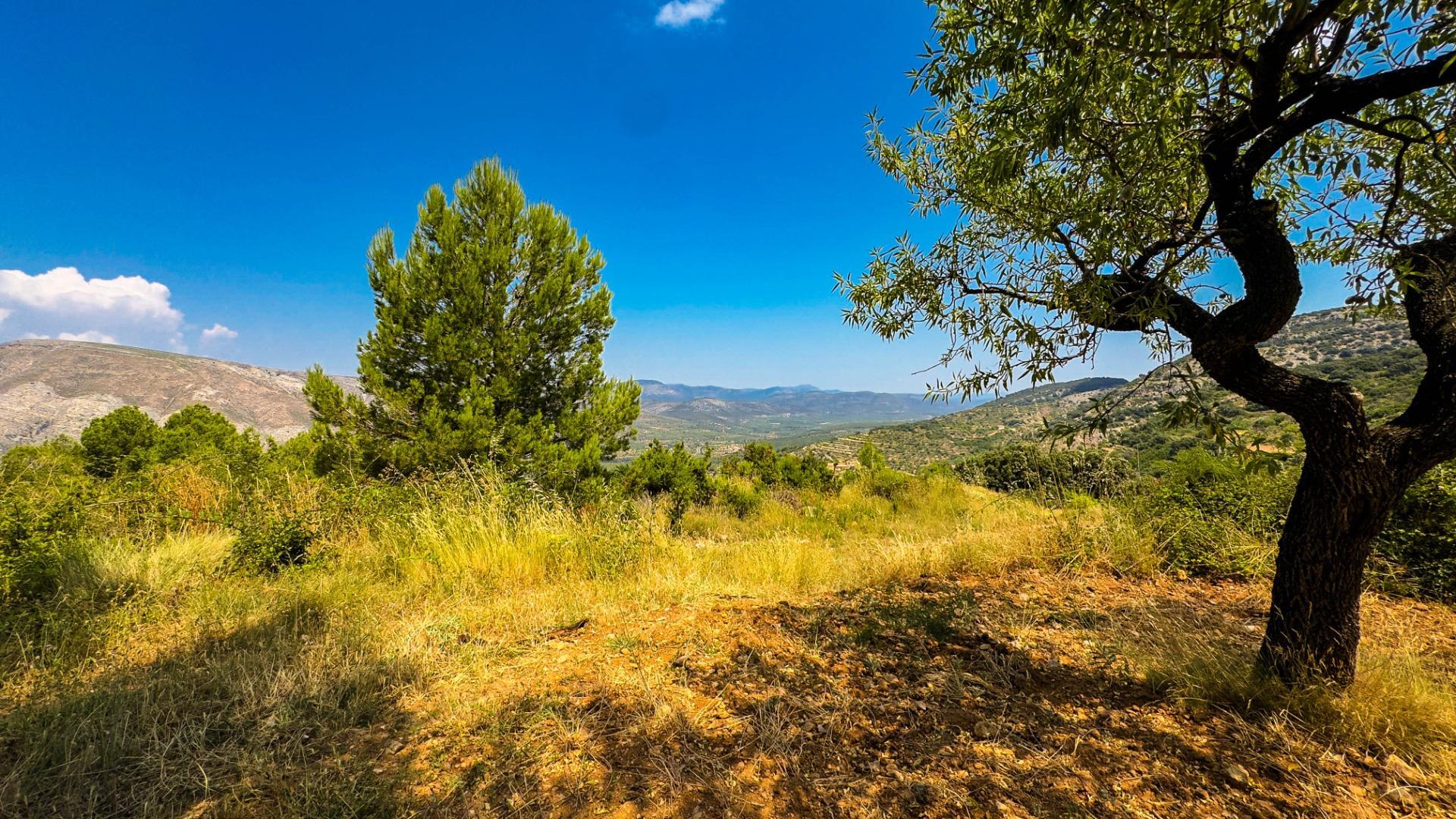 Fincas y solares-Venta-Sierra EngarcerÃ¡n-1792786-Foto-19