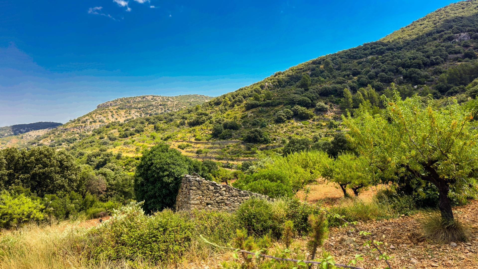 Fincas y solares-Venta-Sierra EngarcerÃ¡n-1792786-Foto-23
