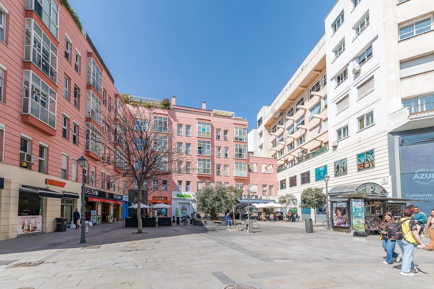 Pisos-Venta-Madrid-1707828-Foto-26