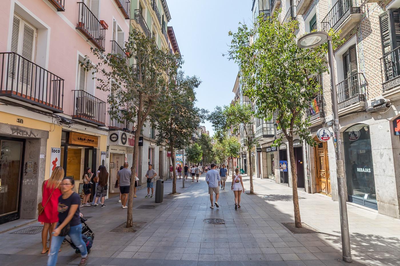 Pisos-Venta-Madrid-1707828-Foto-31