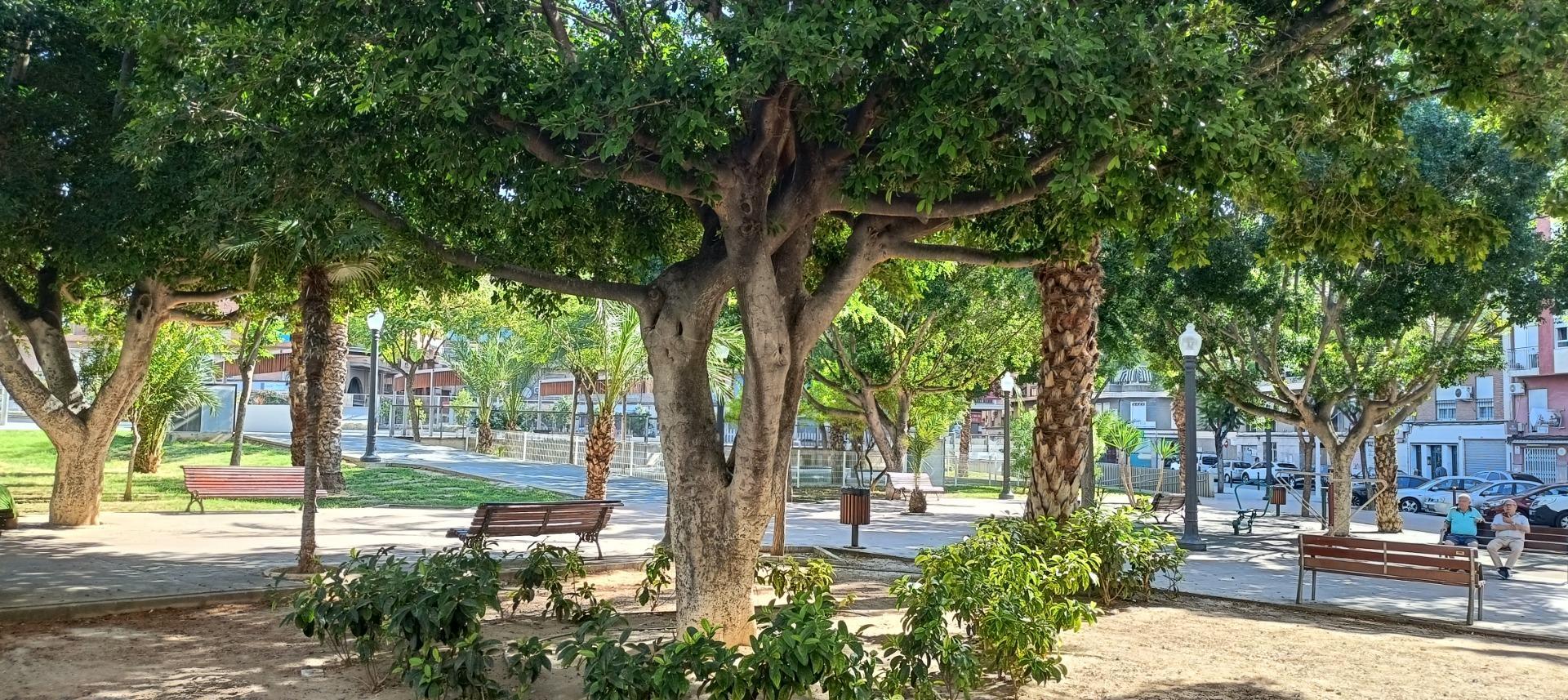 Pisos-Venta-Elche-1792780-Foto-5