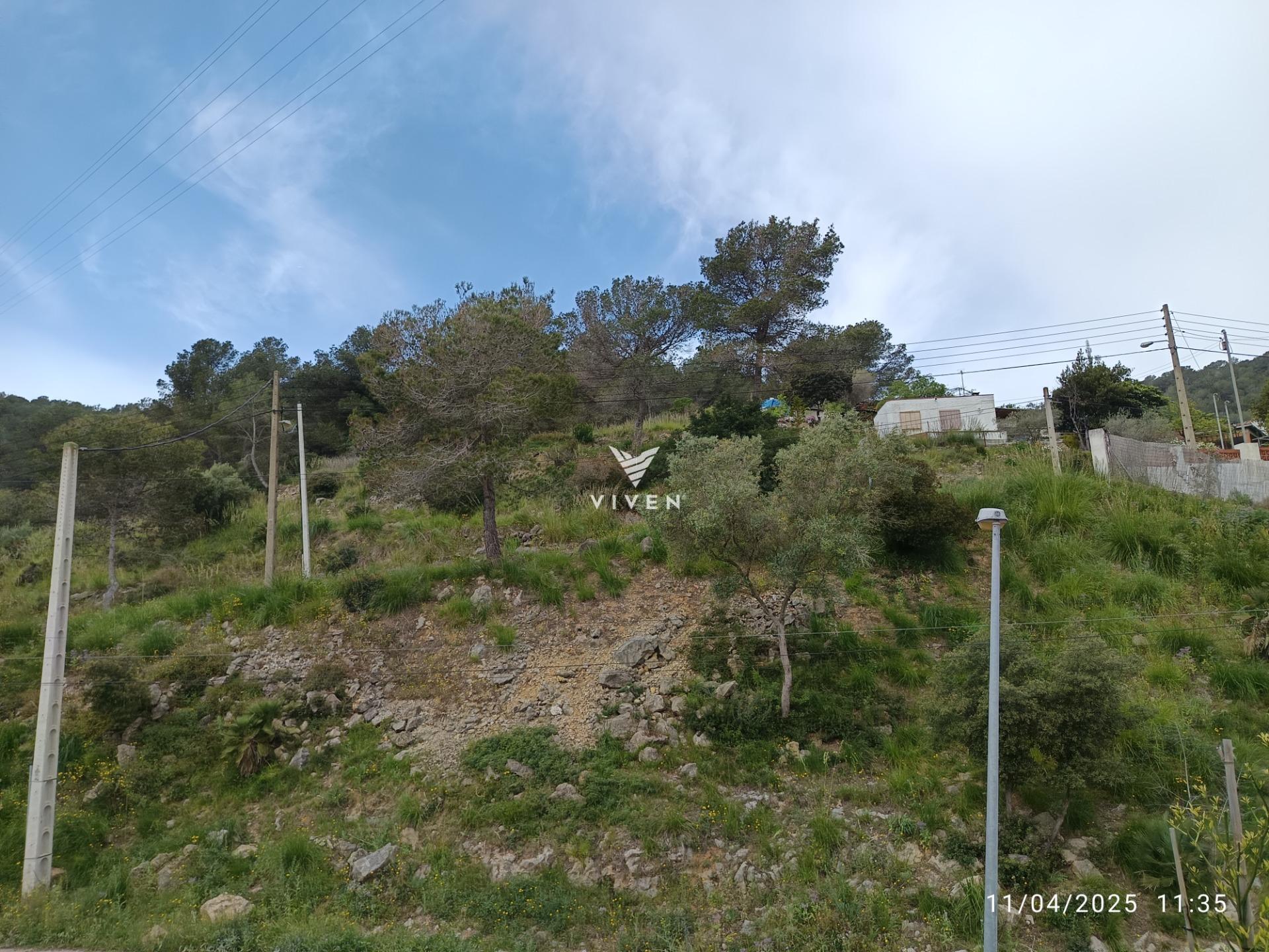 Casas o chalets-Venta-Olivella-1731024-Foto-47