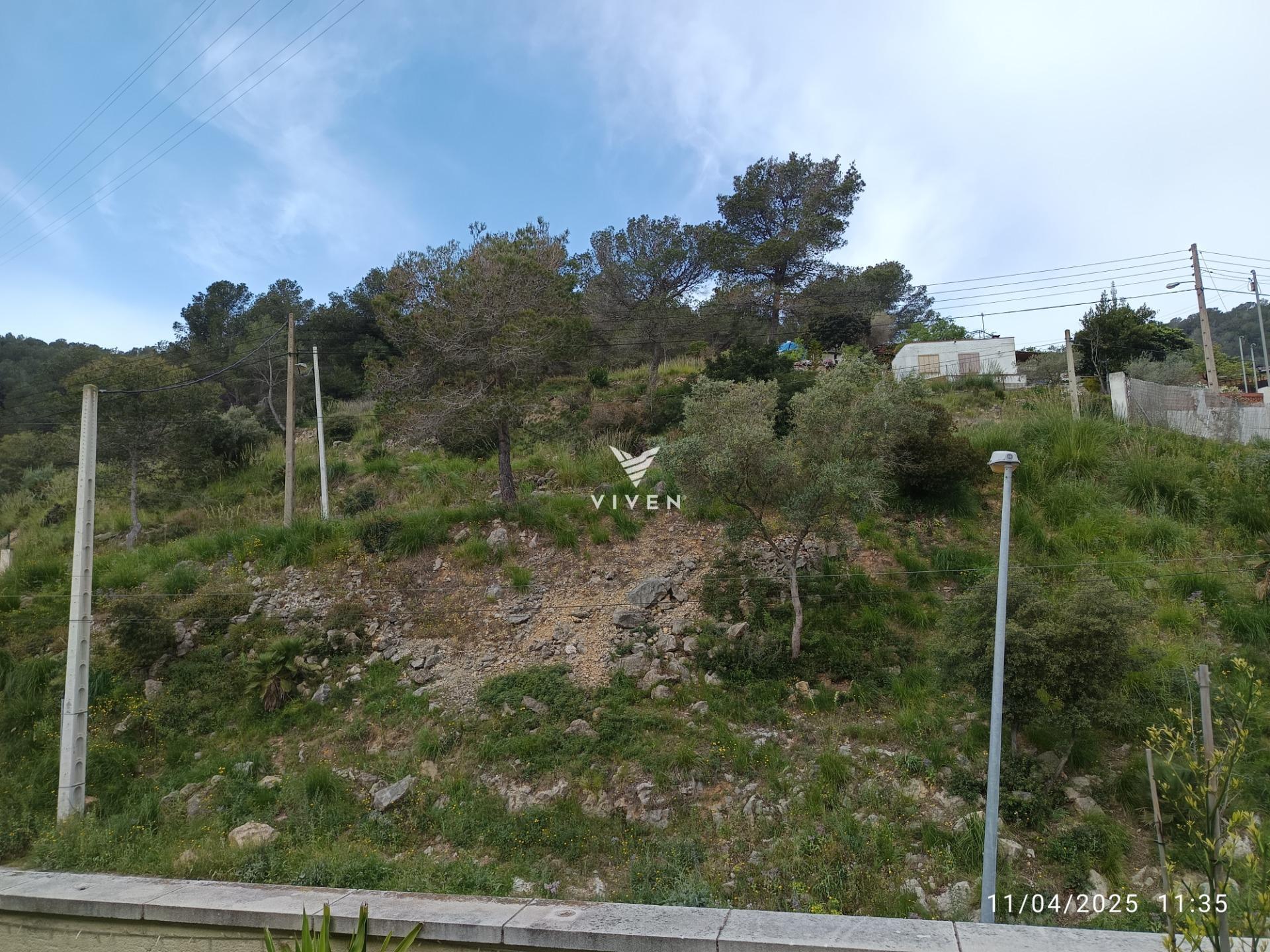 Casas o chalets-Venta-Olivella-1731024-Foto-48