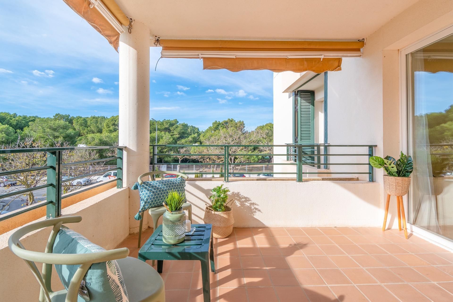 Pisos-Venta-Palma de Mallorca-1502364-Foto-2