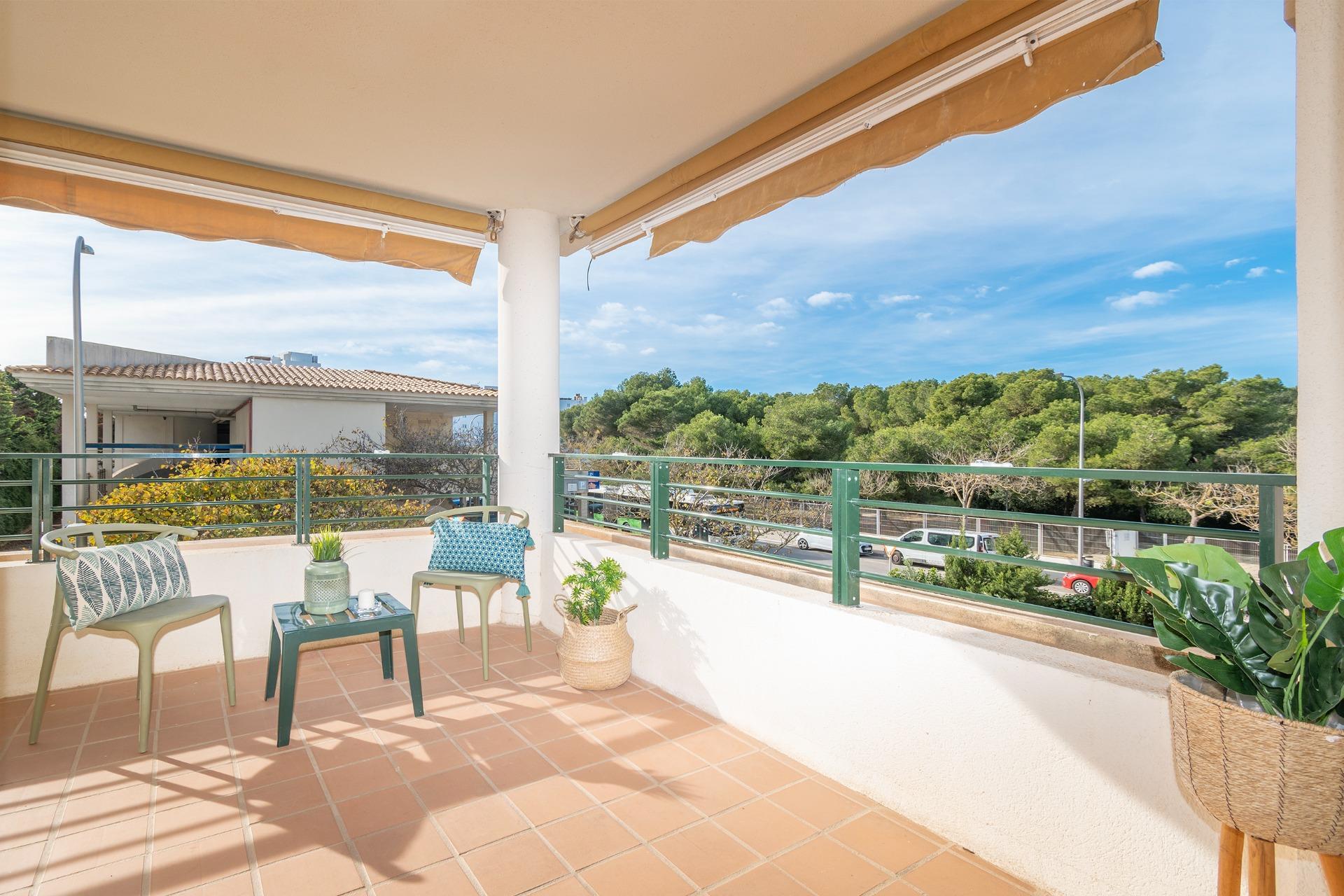Pisos-Venta-Palma de Mallorca-1502364-Foto-4