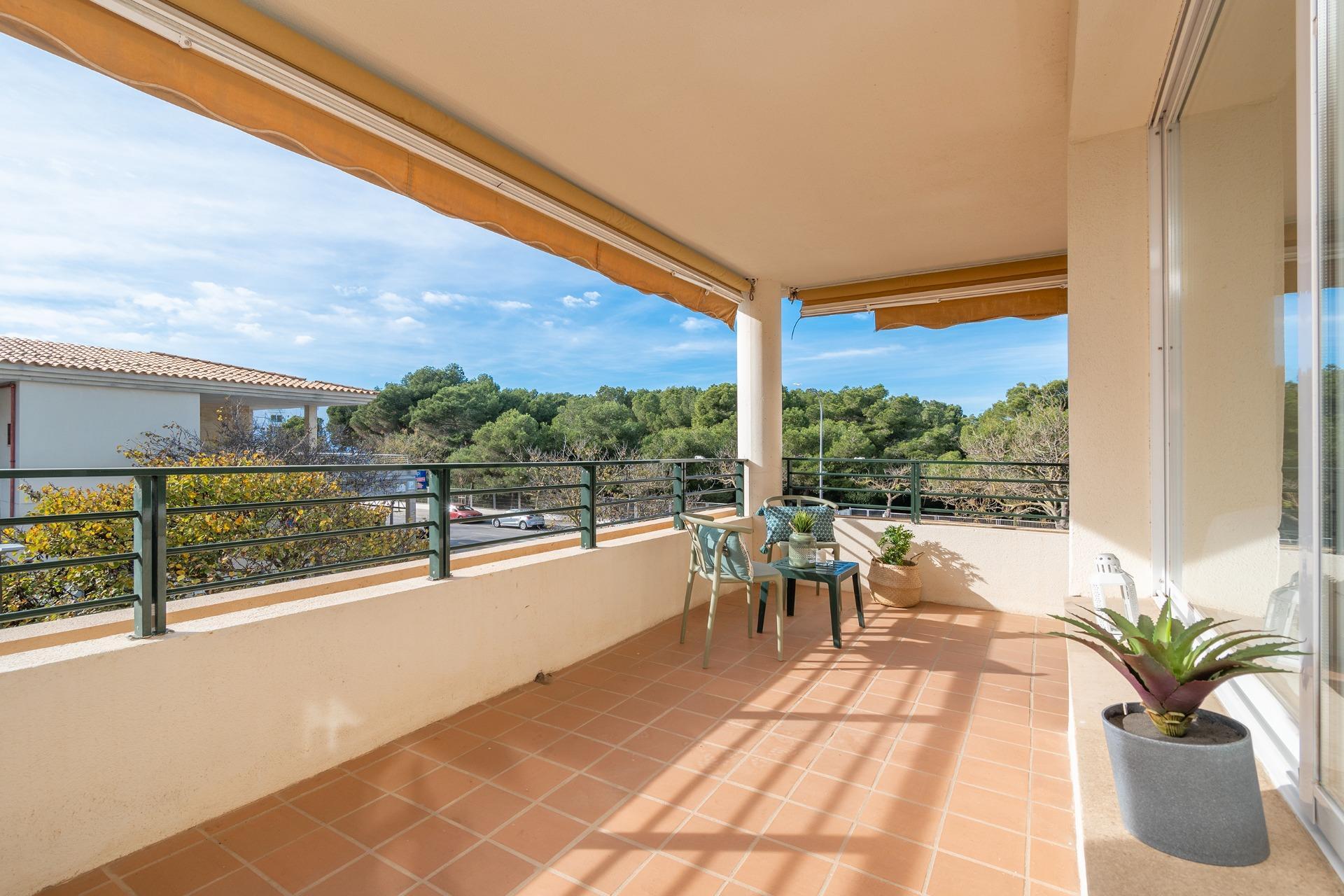 Pisos-Venta-Palma de Mallorca-1502364-Foto-10