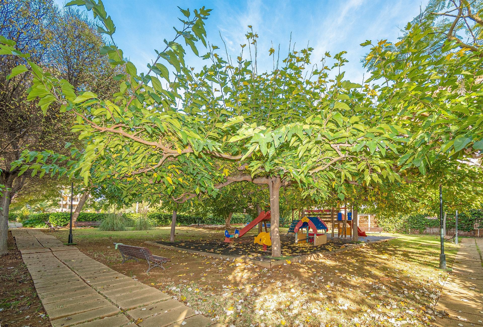 Pisos-Venta-Palma de Mallorca-1502364-Foto-32