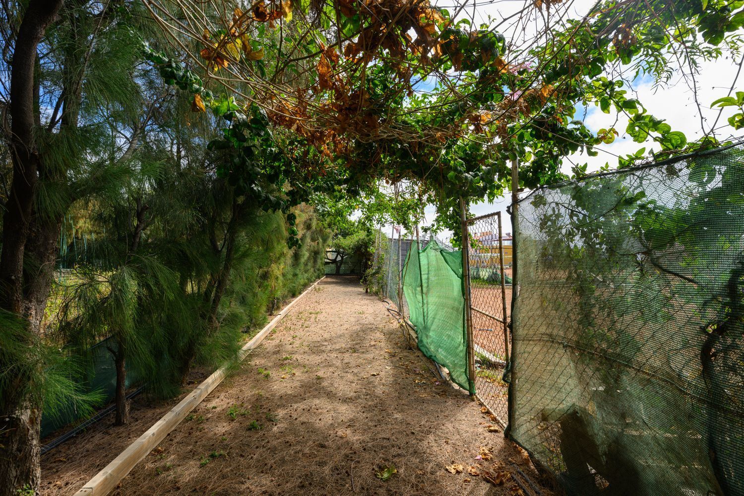 Casas o chalets-Venta-Telde-1792819-Foto-30