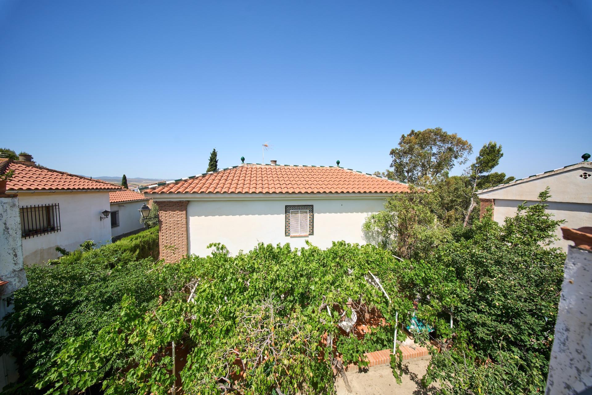Casas o chalets-Venta-Villa de Otura-1793291-Foto-27