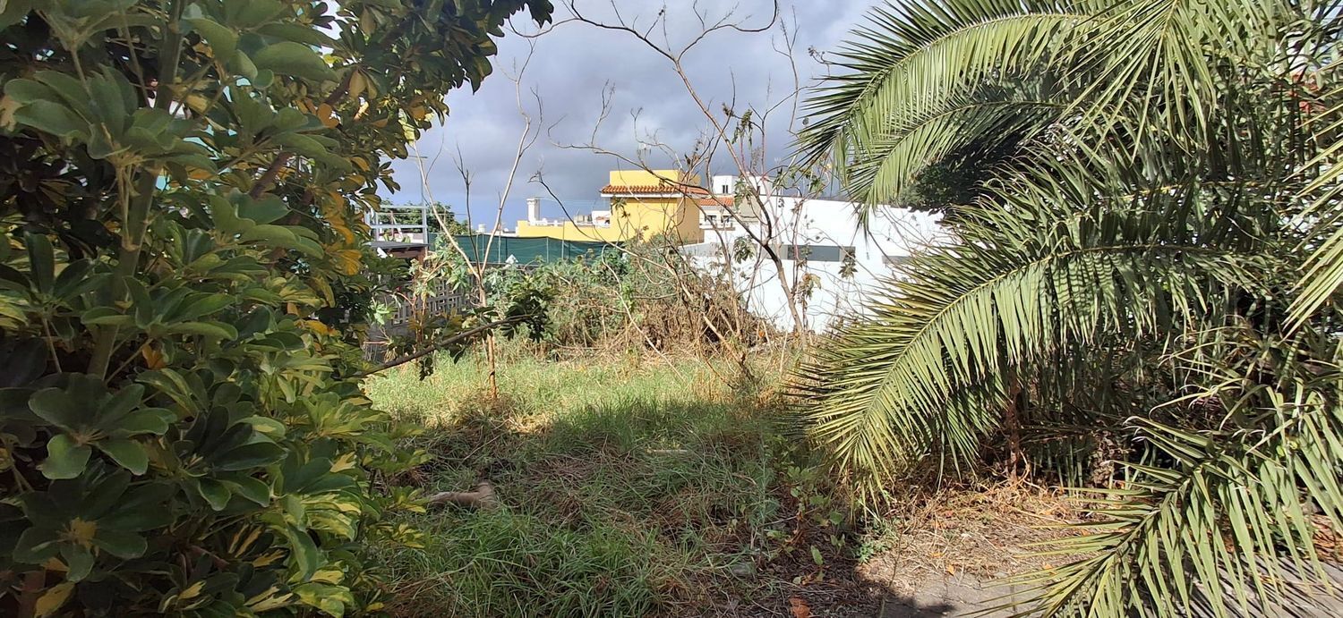 Fincas y solares-Venta-Arucas-1793288-Foto-4